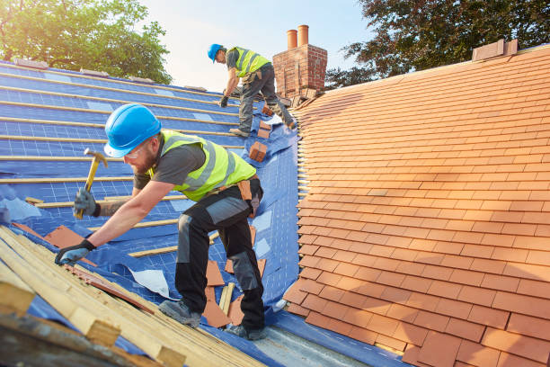 Best Skylight Installation and Repair  in Valmeyer, IL